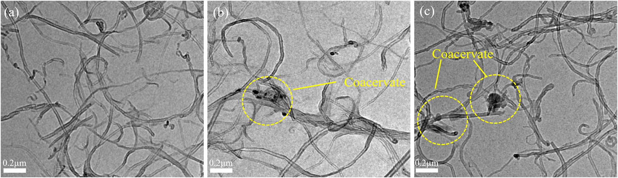 Figure 3
TEM images of CNT suspensions (0.02 g of CNTs) with different dispersants: (a) PVP, (b) GA, and (c) SDBS.