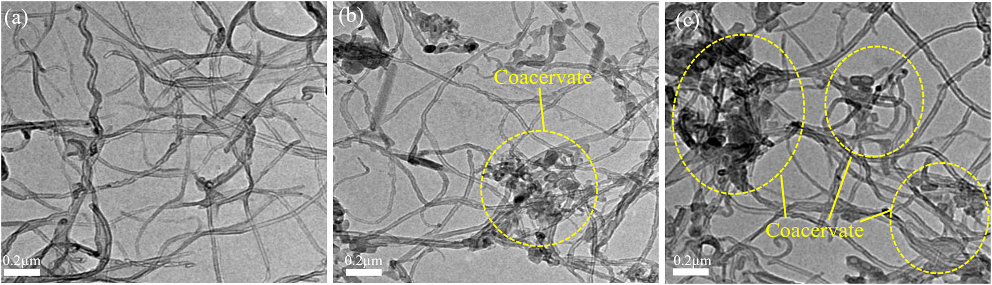 Figure 4
TEM images of CNT suspensions (0.05 g of CNTs) with different dispersants: (a) PVP, (b) GA, and (c) SDBS.