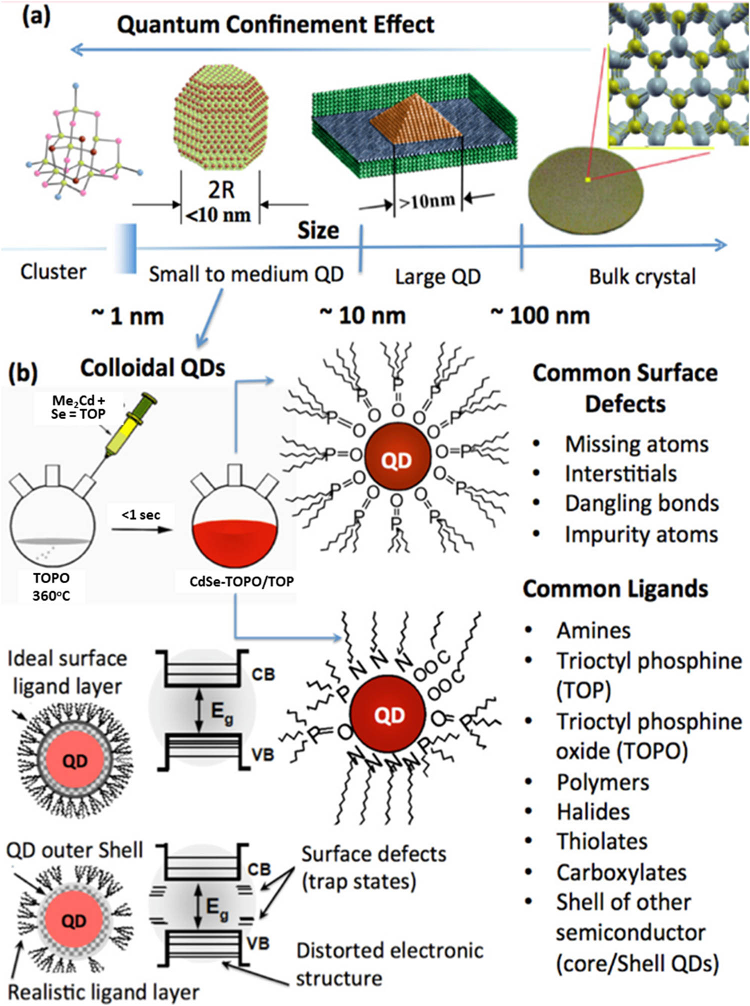 Figure 1 
               (a) Graphical representation for classification of clusters, QDs, and bulk and (b) the effect of ligand passivation on QD band gap. Reproduced with permission from Kilina et al. [42], © 2015 American Chemical Society.
            