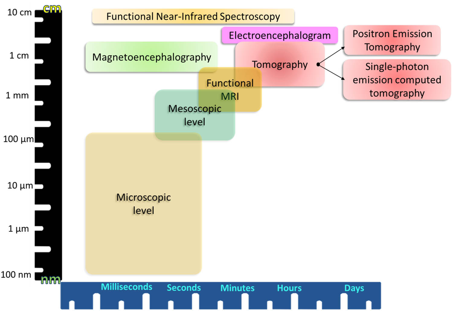 Figure 7 
               Functional neuroimaging techniques and modalities.
            