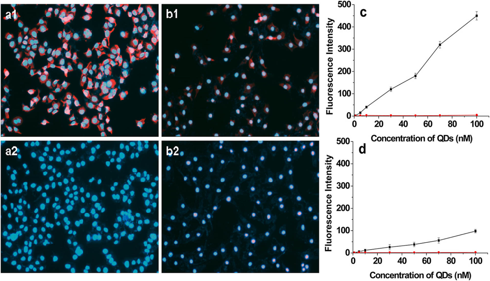 Figure 9 
               Fluorescent imaging comparison (a and b) and quantitative assessment (c and d) were conducted to assess the nonspecific cellular binding of MPA-coated CdTe QDs (a1, b1, ■) and BSA-coated QDs (a2, b2, ●) on HeLa (a) and 3T3 (b) cells. Reproduced with permission from Zhang et al. [166], © 2012 American Chemical Society.
            