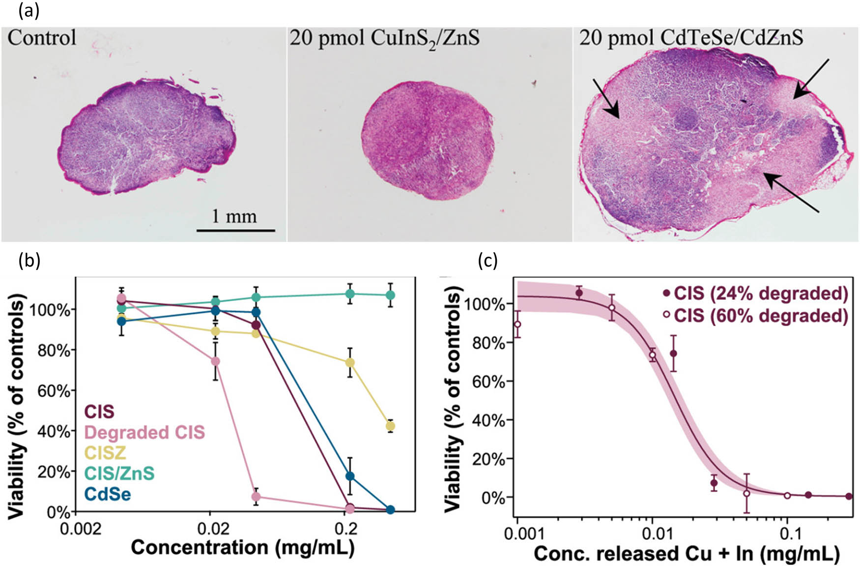 Figure 12 
               (a) RALN histological sections resected 7 days after injection for animals injected with saline buffer (control), 20 pmol CuInS2/ZnS QDs, and 20 pmol CdTeSe/CdZnS QDs. Light regions with black arrows suggest inflammation. The scale bar is 1 mm. Reproduced with permission from Pons et al. [174], © 2010 American Chemical Society. Toxicity test in vitro of (b) QD-treated HepG2 viability after 24 h, n = 4 wells per dosage. (c) Dose–response curve from viability testing for two degradation levels fit a 4-parameter Hill equation; shaded region shows 95% confidence interval. Reproduced with permission from Kays et al. [175], © 2020 American Chemical Society.
            