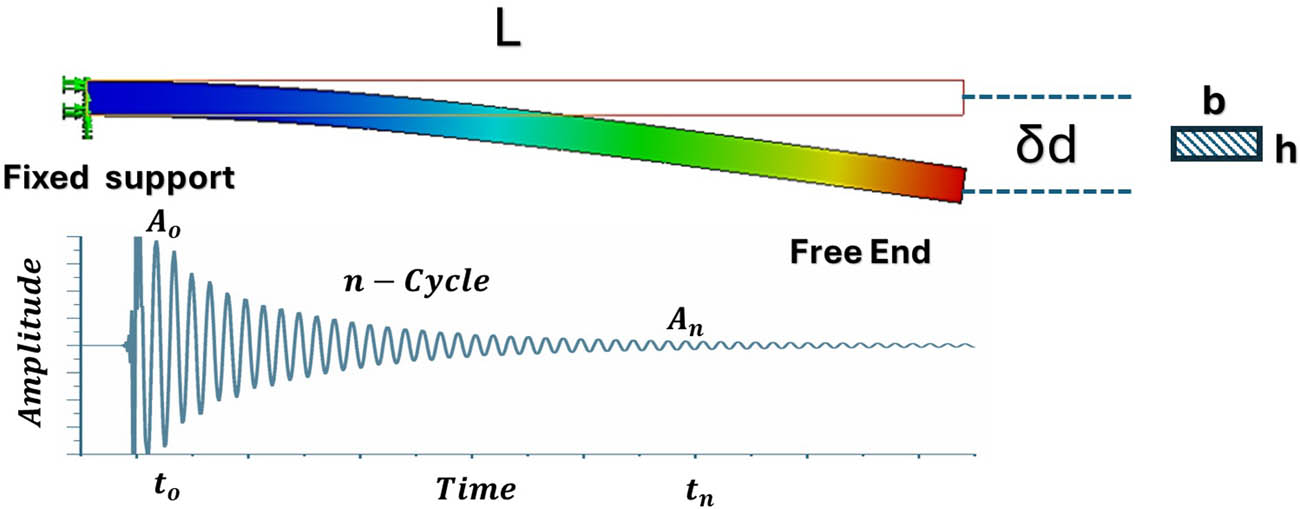 Figure 11 
                  First mode natural frequency of the cantilever beam in the free vibration.
               