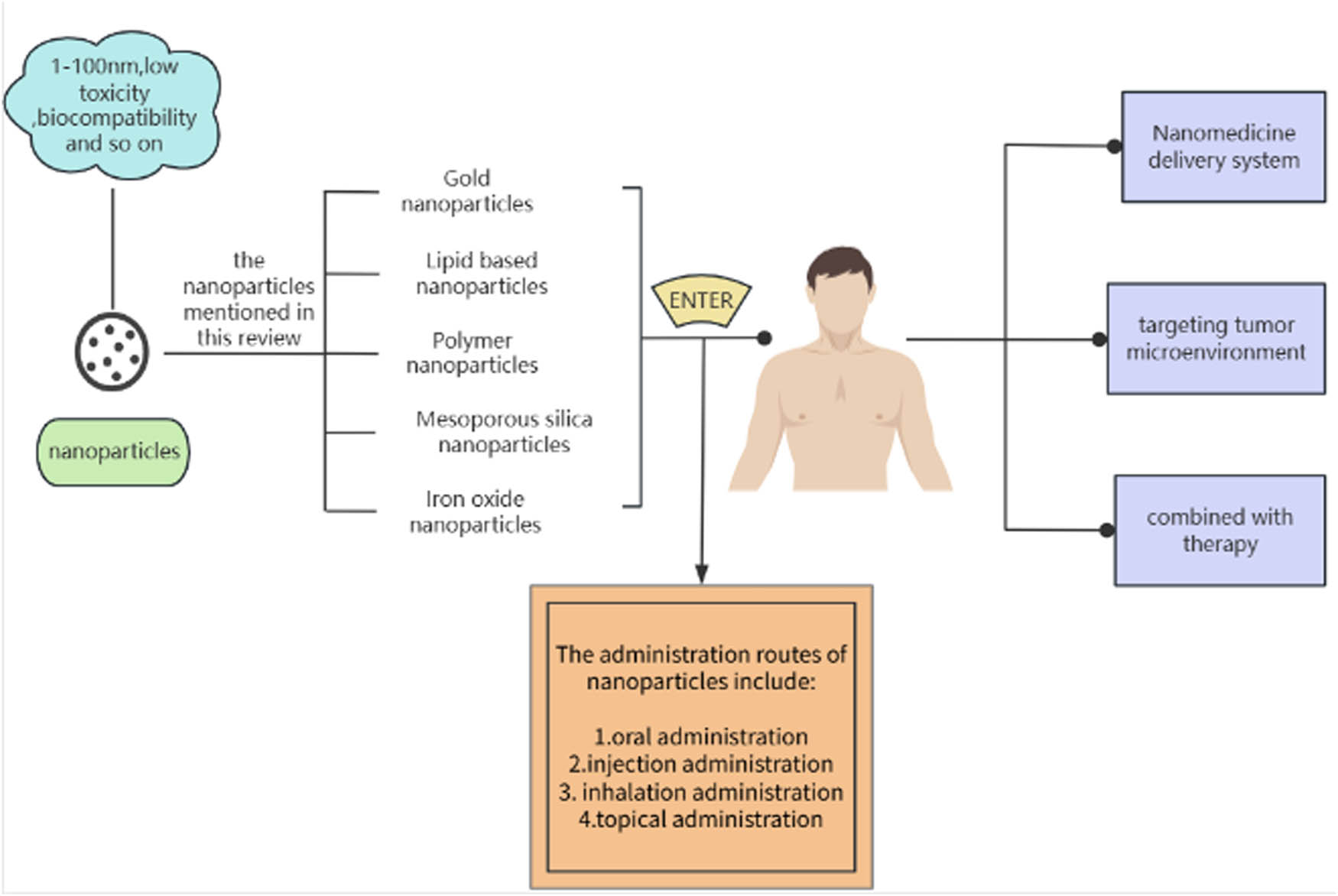 Figure 1 
               Mind map of the review.
            