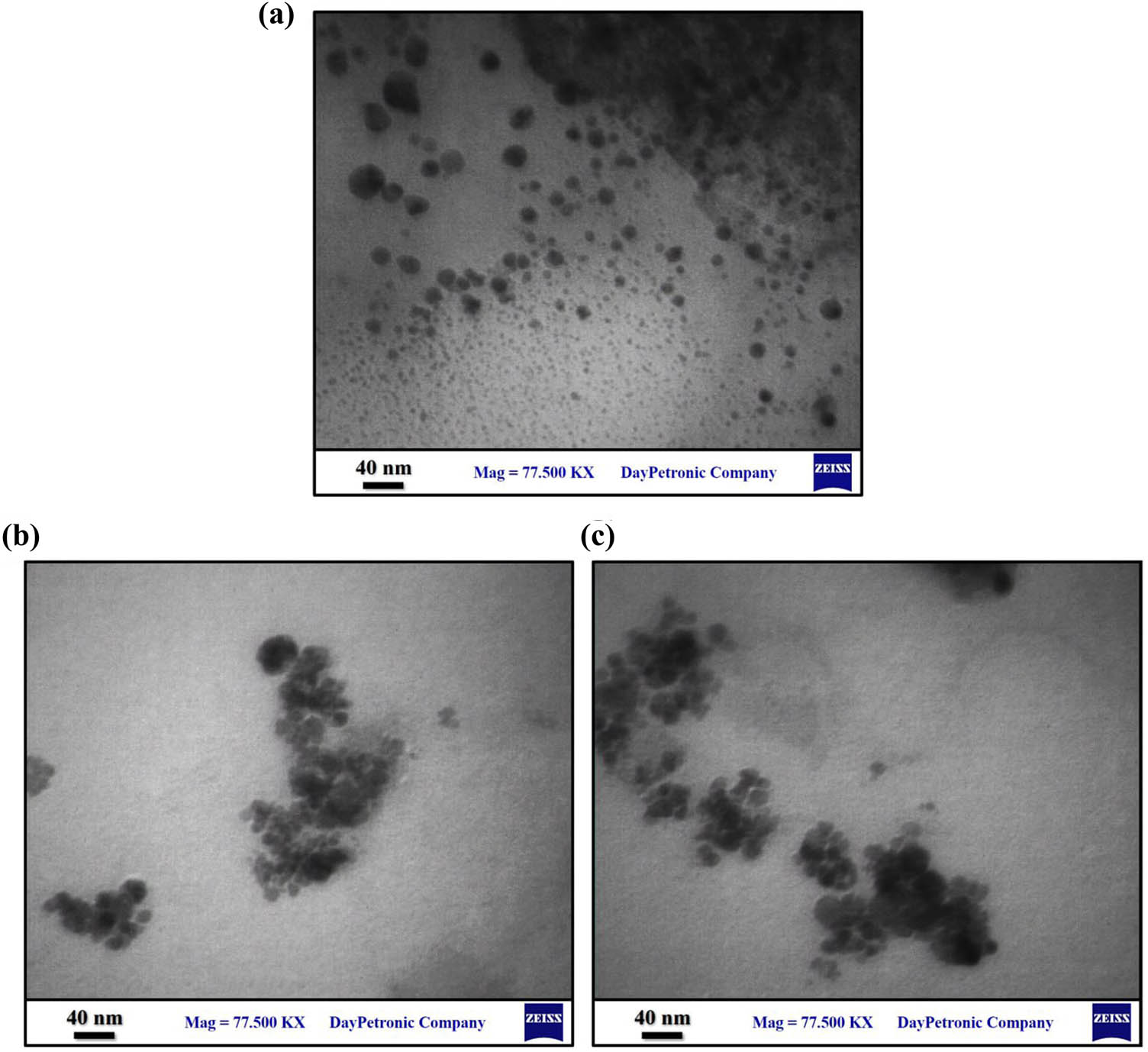 Figure 2
TEM images of chitosan NPs (a), SeNPs (b), and Se-chitosan NPs (c).