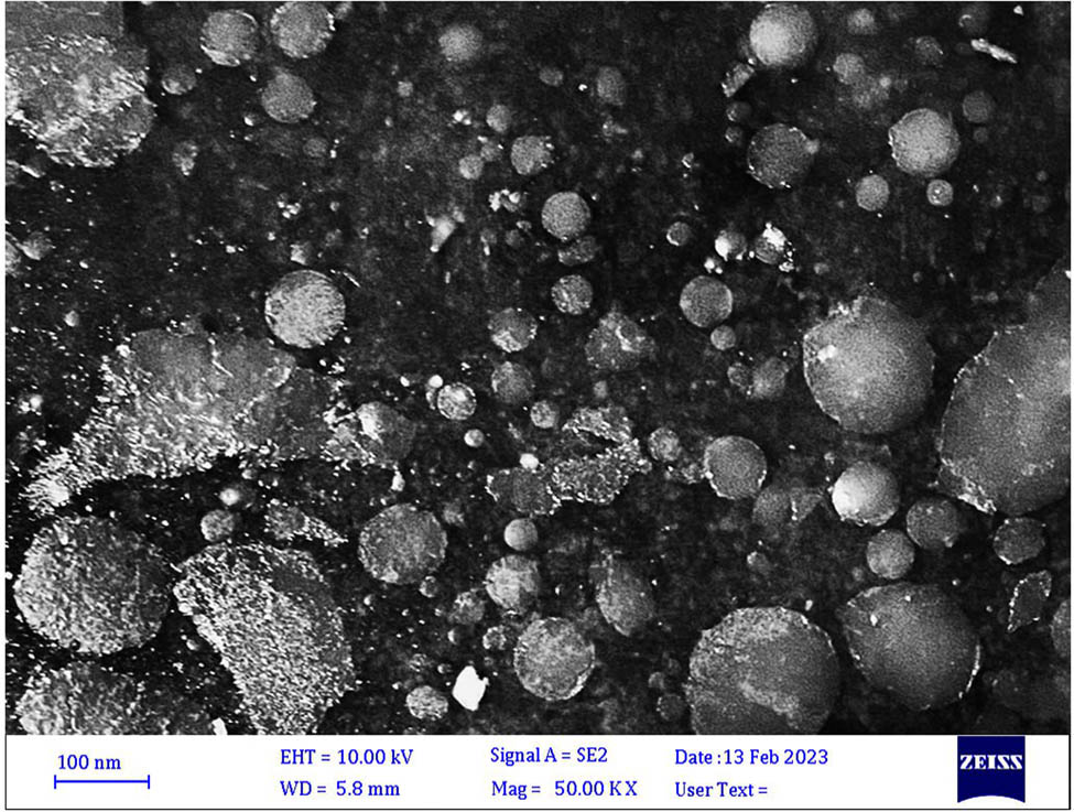 Figure 3
SEM–EDX of Chito-NPs.