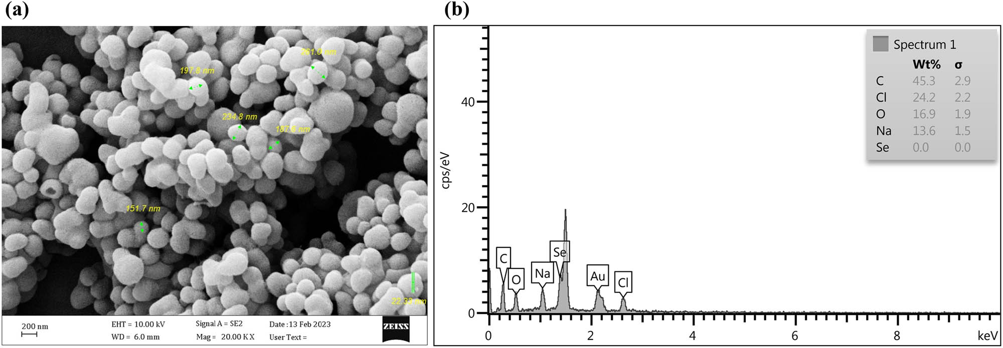 Figure 4
SEM–EDX of SeNPs. (a) SEM micrographs of SeNPs. (b) EDX analysis of SeNPs. SEM, scanning electron microscopy; EDX, energy-dispersive X-ray spectroscopy.