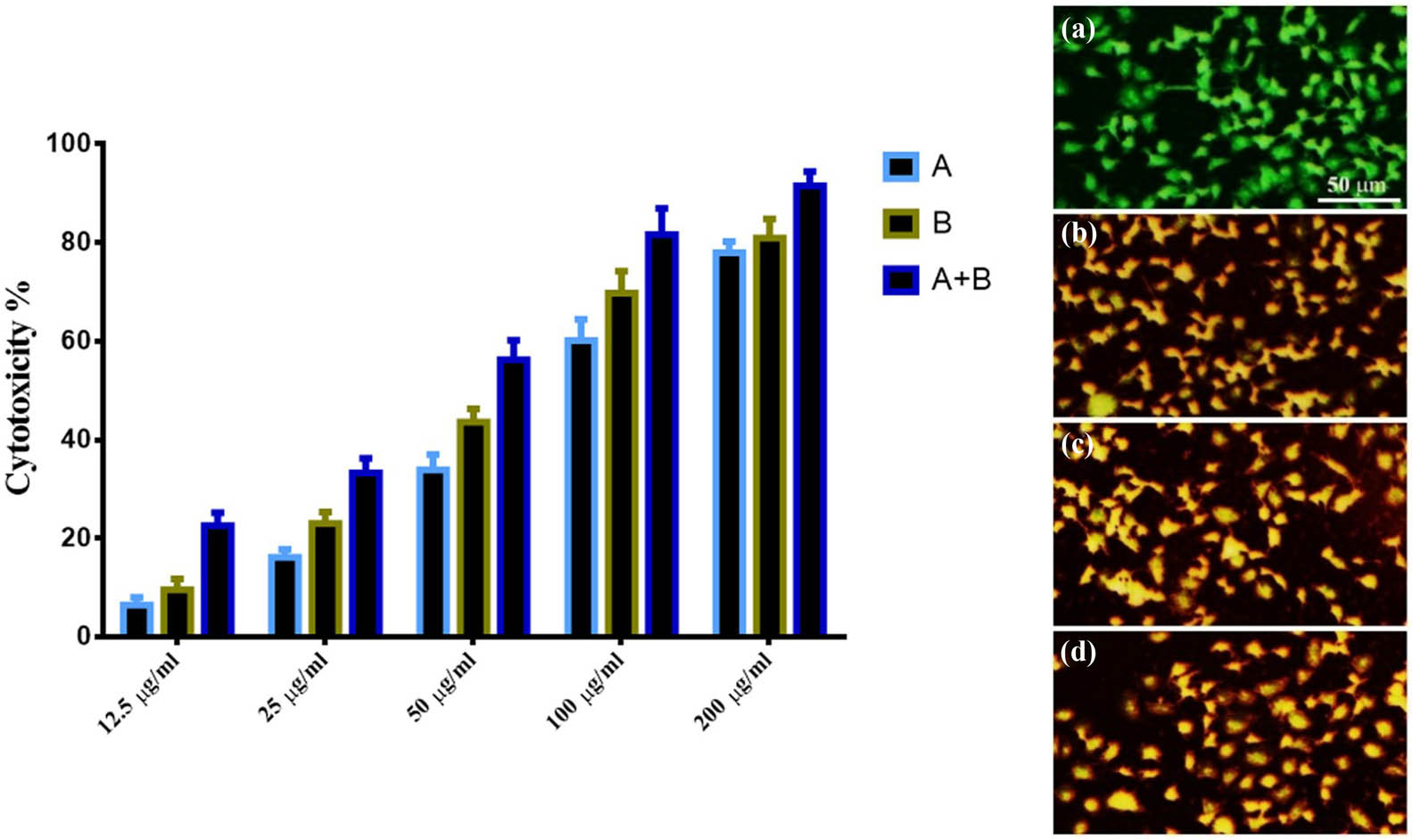 Figure 10
Anti-proliferative activity of prepared NPs against lung cancer cells. The right panel represented the cytotoxicity of prepared NPs against lung cancer cells. A = Chito-NPs, B = SeNPs, and A + B = Se-chitosan NPs. The left panel represented AO/EtBr double staining assay. A = control untreated cells, B = Chito-NPs, C = SeNPs, and D = Se-chitosan NPs.