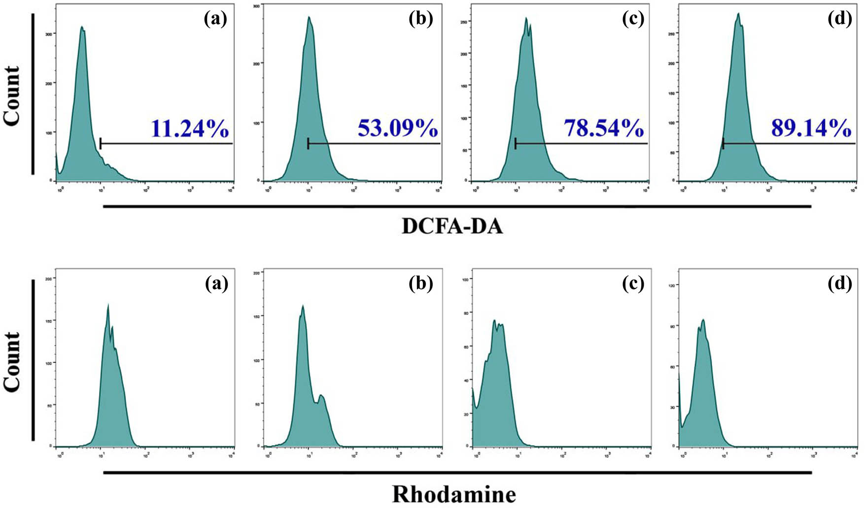 Figure 13
Chito-NPs, SeNPs, and Se-chitosan NPs cause mitochondrial malfunction and the production of ROS in A549 cells. (a) Untreated cells in control. (b) Cells subjected to Chito-NPs. (c) Cells exposed to SeNPs. (d) Cells treated to Se-chitosan NPs.