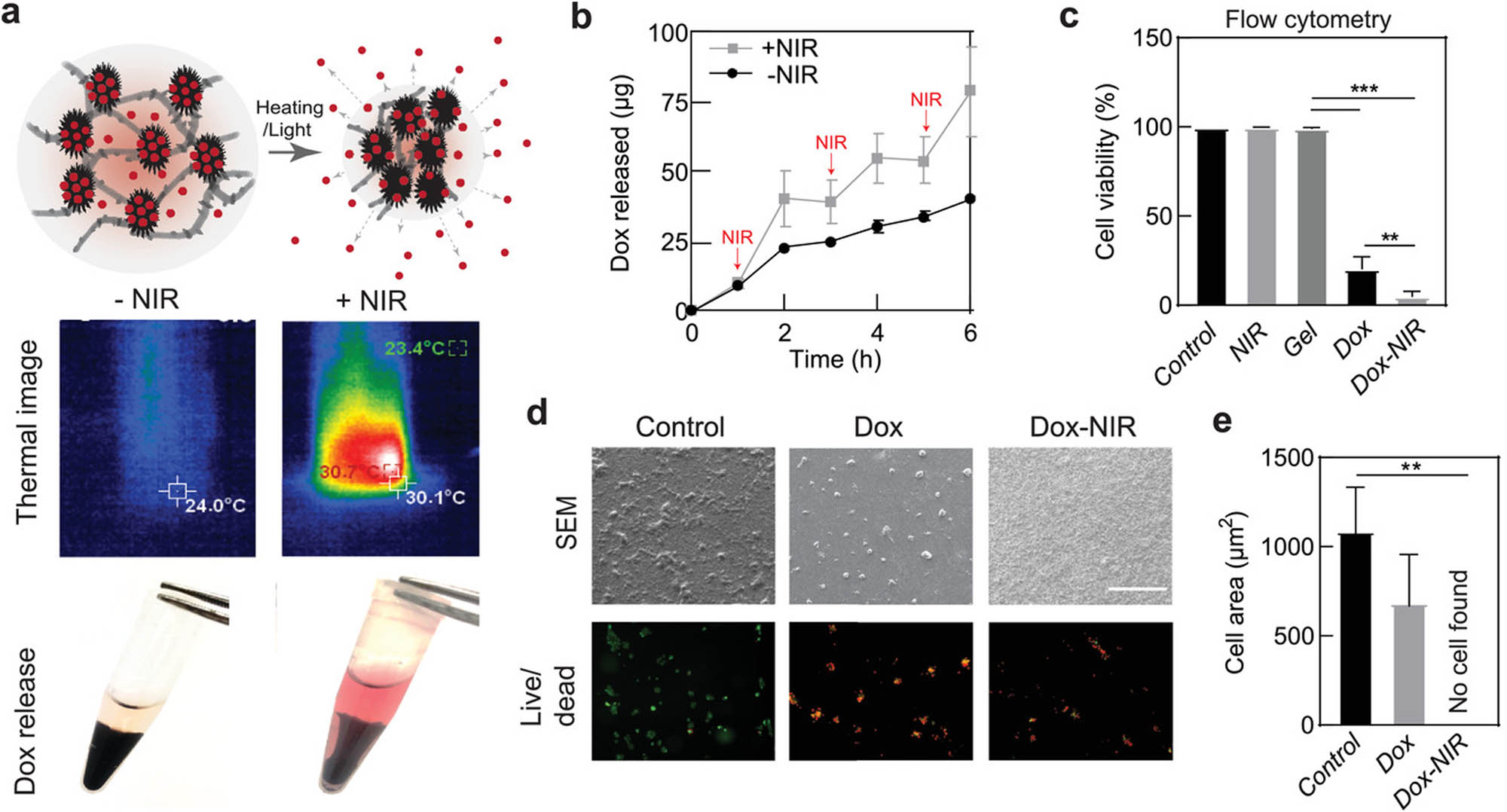 Figure 7 
                  Drug delivery facilitated by NIR light exposure. (a) Schematic representation of drug release from PNIPAM-MoS2 hydrogels. (b) Drug release triggered by NIR light irradiation over three cycles, with each cycle consisting of 10 min of NIR light exposure. (c) Effect of combined chemotherapy/PTT on MCF-7 cell viability evaluated by flow cytometry. (d) Representative scanning electron microscopy images and live/dead imaging of cells in different conditions. (e) Quantification of cell area on scanning electron microscopy samples. **p < 0.01, ***p < 0.001. Reproduced with permission [150]. Copyright © 2021, Wiley.
               