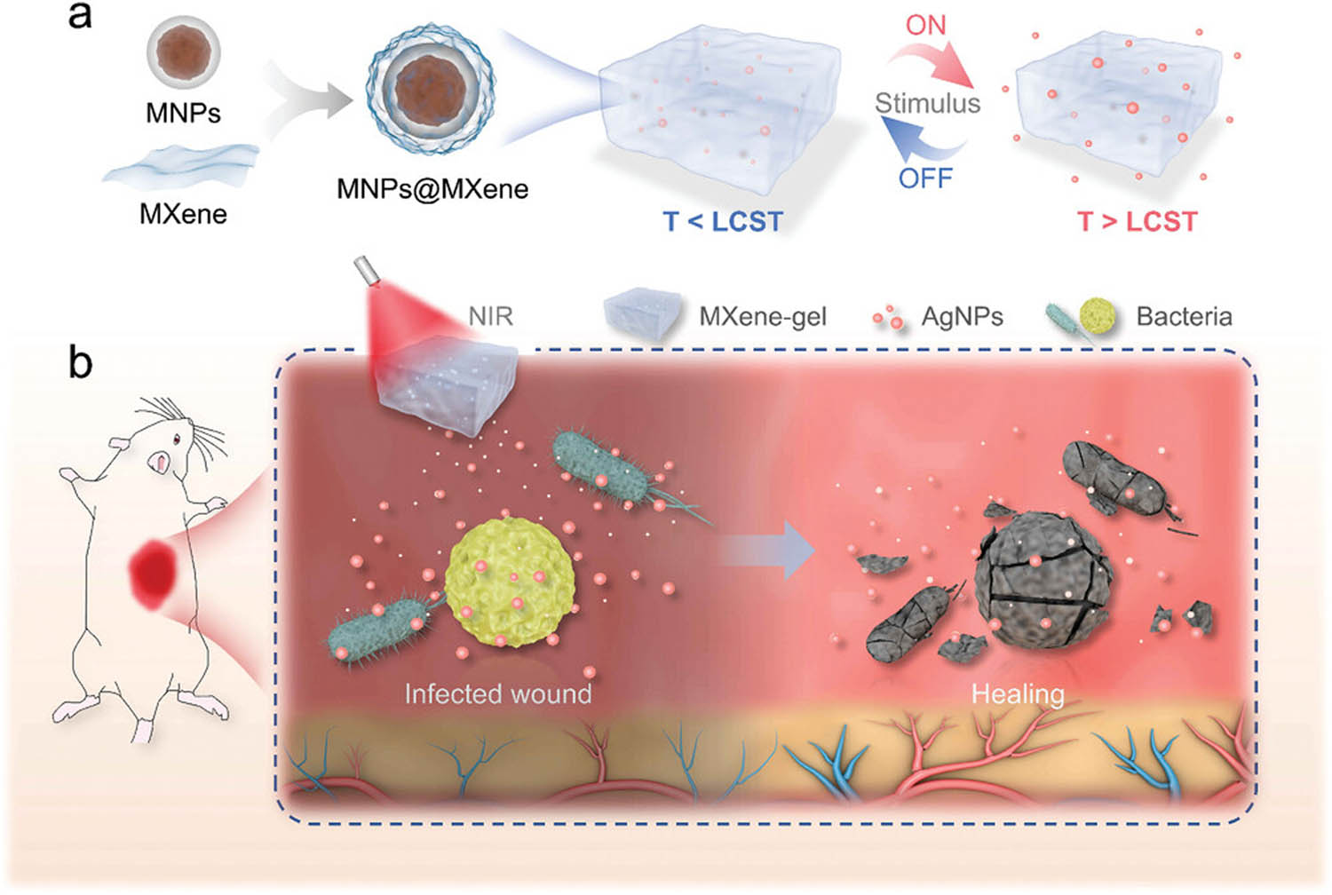Figure 11 
                  (a) Process to prepare the MXene-based hydrogel and drug-release mechanism under NIR light stimulation. (b) Strategy for treating wounds in diabetic rats exploiting the NIR-responsive hydrogel loaded with Ag NPs. Reproduced with permission [177]. Copyright © 2022, Wiley.
               
