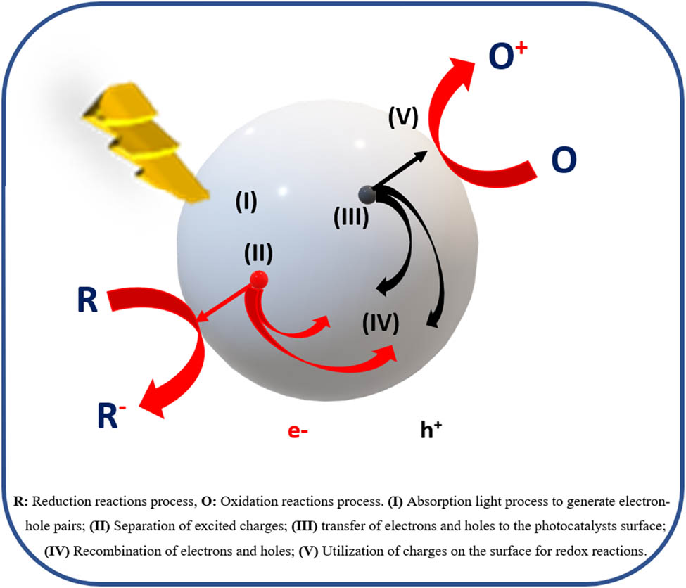 Figure 1 
               Standard photocatalytic reaction mechanism.
            