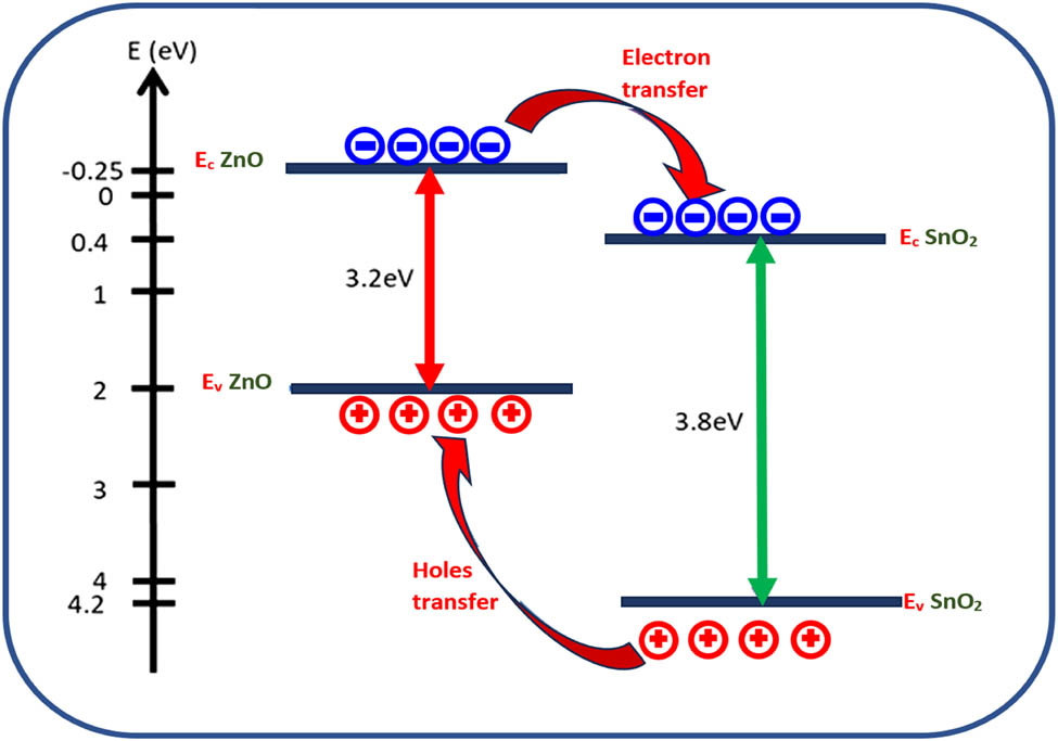 Figure 4 
               Schematic representation of charge carrier behavior in type II heterostructure ZnO/SnO2.
            