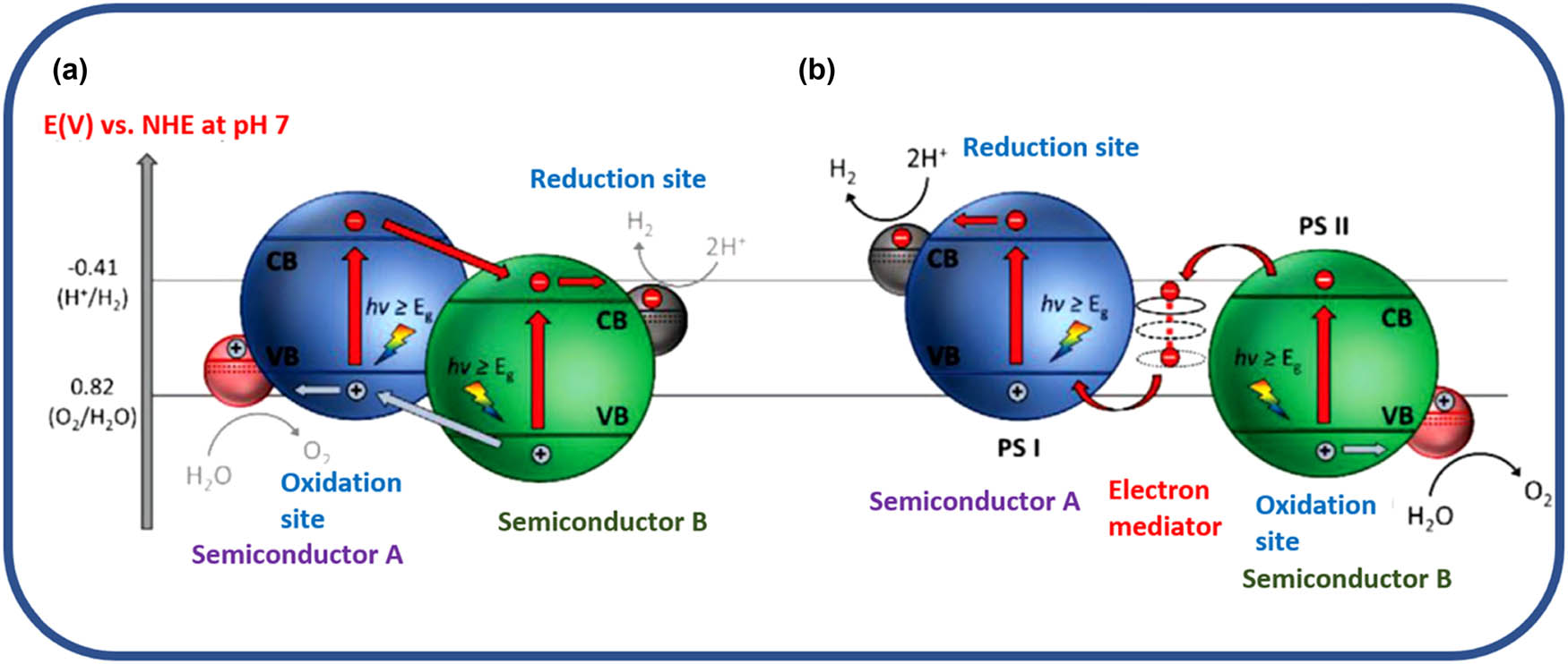 Figure 5 
               Schematic representation of carrier recombination in (a) type II heterojunction, (b) Z-scheme heterojunction [120].
            
