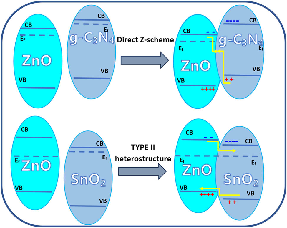 Figure 7 
               Schematic representation for the formation of direct Z-scheme and type II heterostructure between ZnO/SnO2 and ZnO/g-C3N4 [138].
            