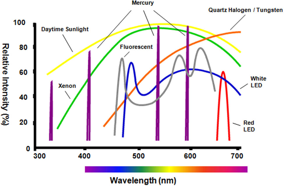 Figure 10 
                  Different irradiation light sources.
               
