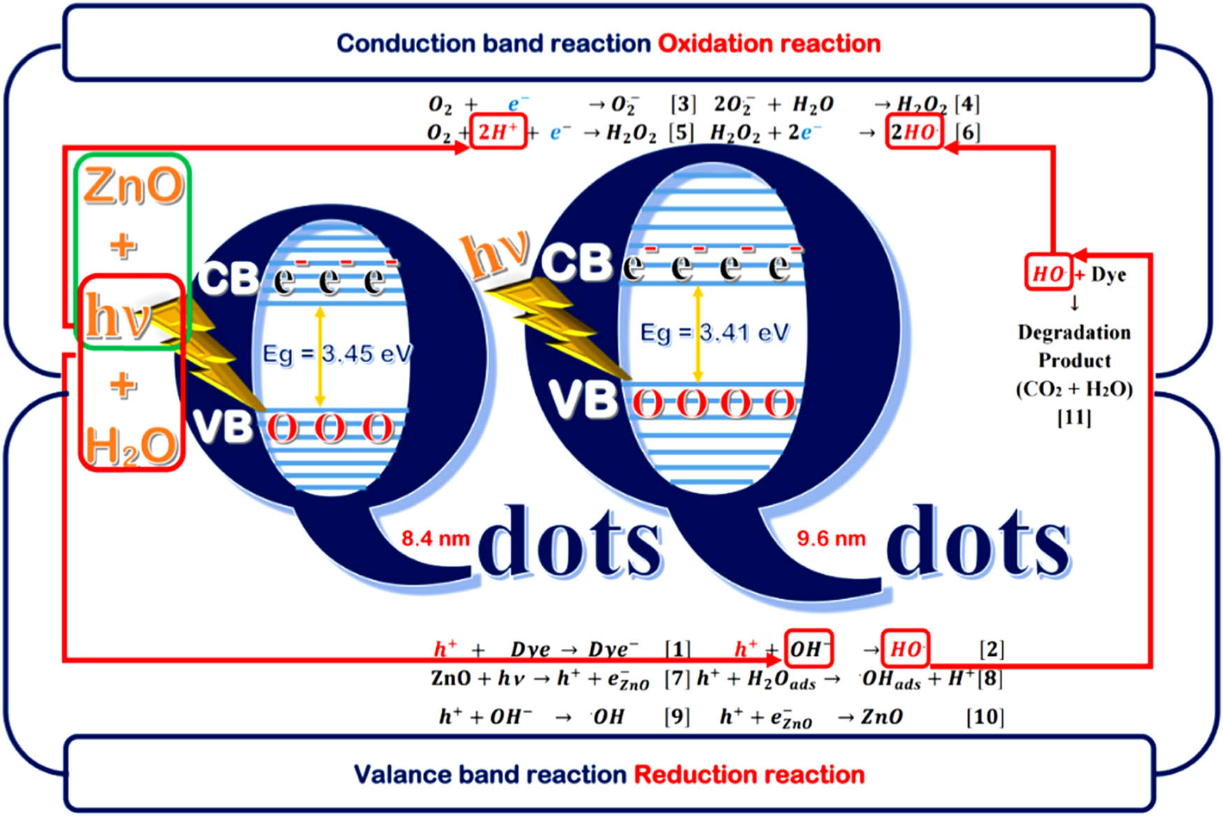 Figure 17 
                     The photodegradation mechanism of Dianix Blue Dye in the presence of ZnO QDs [265].
                  