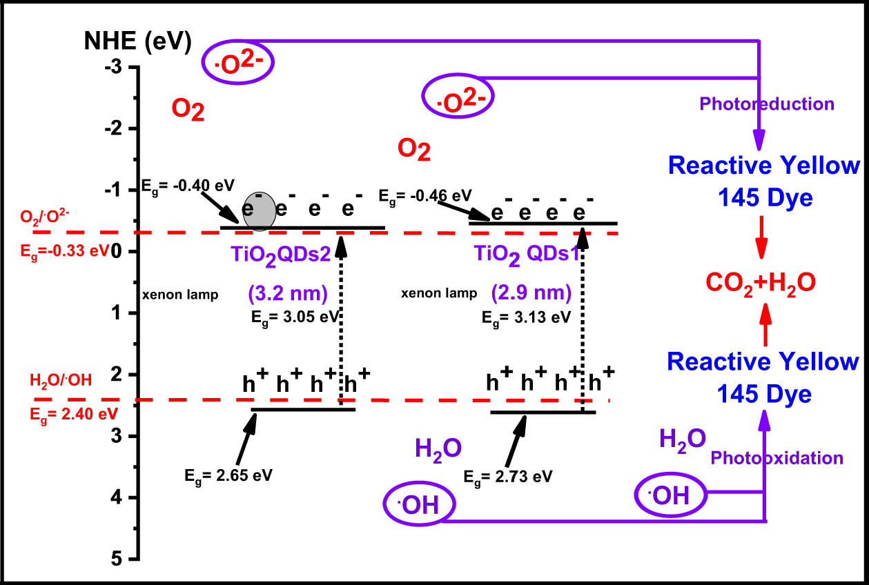 Figure 18 
                     Separation and transfer of photogenerated charges scheme for photodegradation of Reactive Yellow 145 dye in the presence of TiO2 QDs [266].
                  
