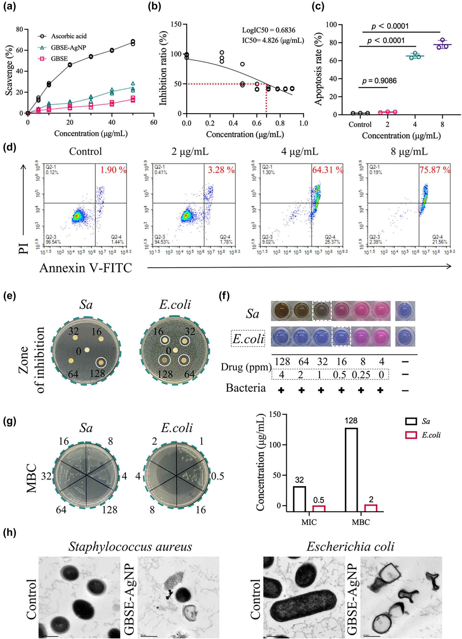 Figure 4 
                     Bioactivity of GBSE-AgNPs. (a) Antioxidant activity measured using the DPPH assay. (b) IC50 value for gastric cancer cell line 7901. (c) and (d) Analysis of apoptosis. (e) Antibacterial activity assessed using the inhibition zone method. (f) MIC. (g) MBC. (h) Bacterial viability observed under HRTEM.