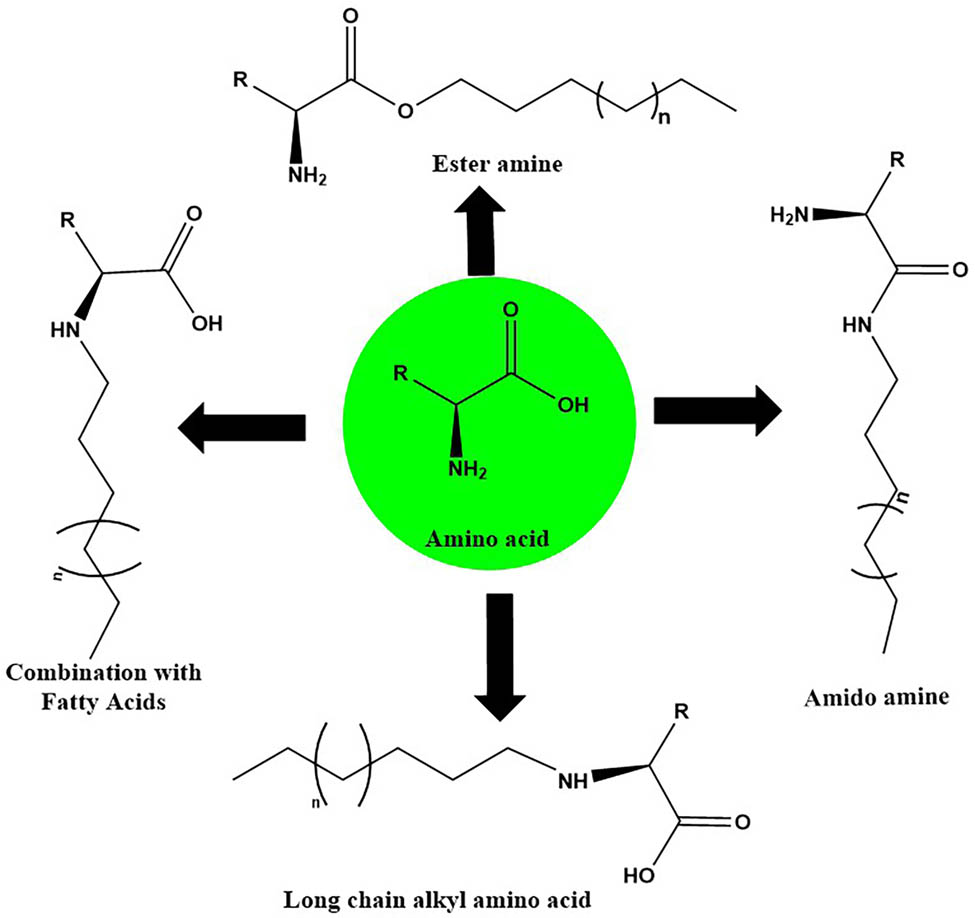 Figure 3
Different routes and procedures for the synthesis of surfactants based on amino acids.