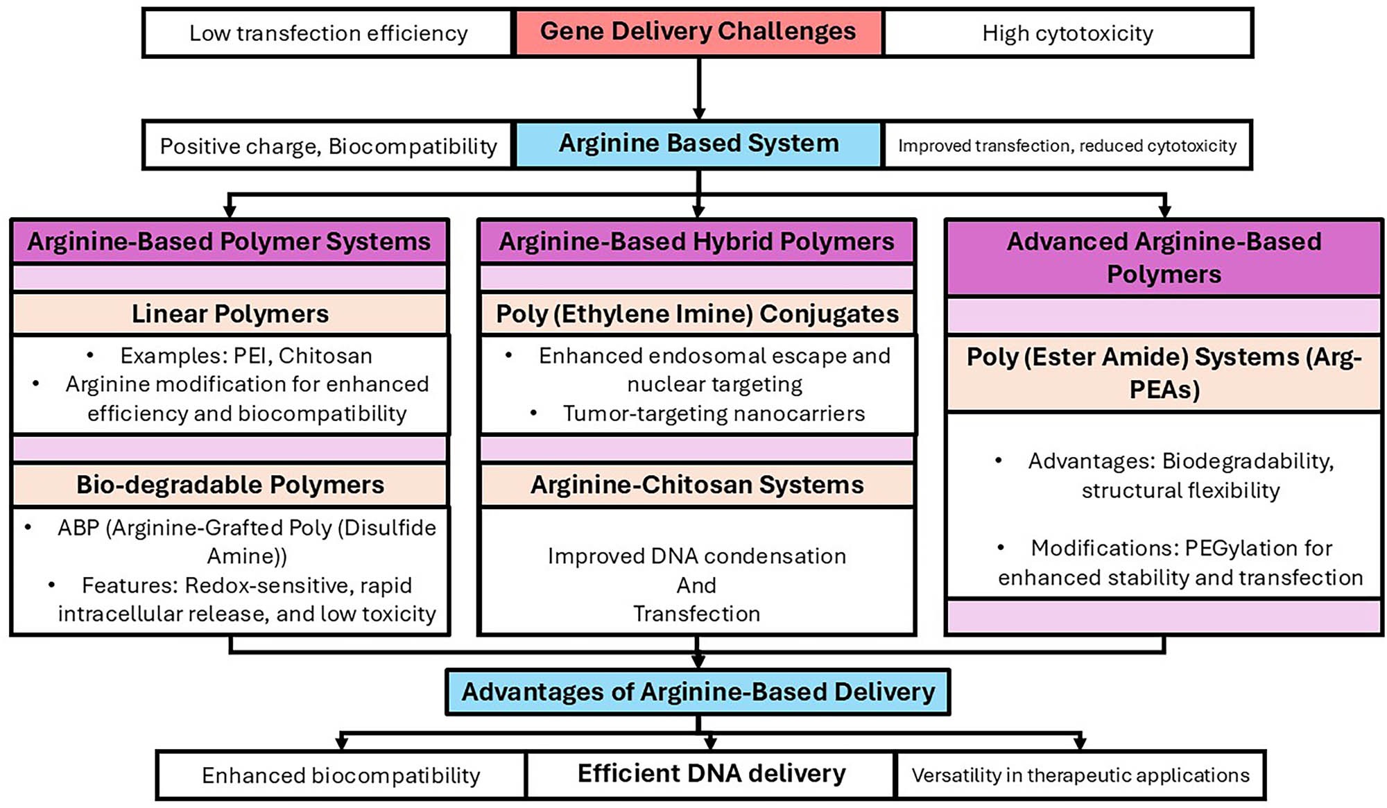 Figure 5
A schematic illustration of the benefits and drawbacks of arginine-based gene delivery platforms. The flowchart describes the shift from the difficulties associated with gene transport (high cytotoxicity and low transfection effectiveness) to the creation of systems based on arginine. These systems are divided into three categories: advanced arginine-based polymers (poly (ester amide) systems), arginine-based hybrid polymers (PEI conjugates and arginine-chitosan systems), and arginine-based polymer systems (linear and biodegradable polymers). A summary is provided of the benefits of arginine-based administration, which include improved biocompatibility, effective DNA delivery, and adaptability in therapeutic applications.