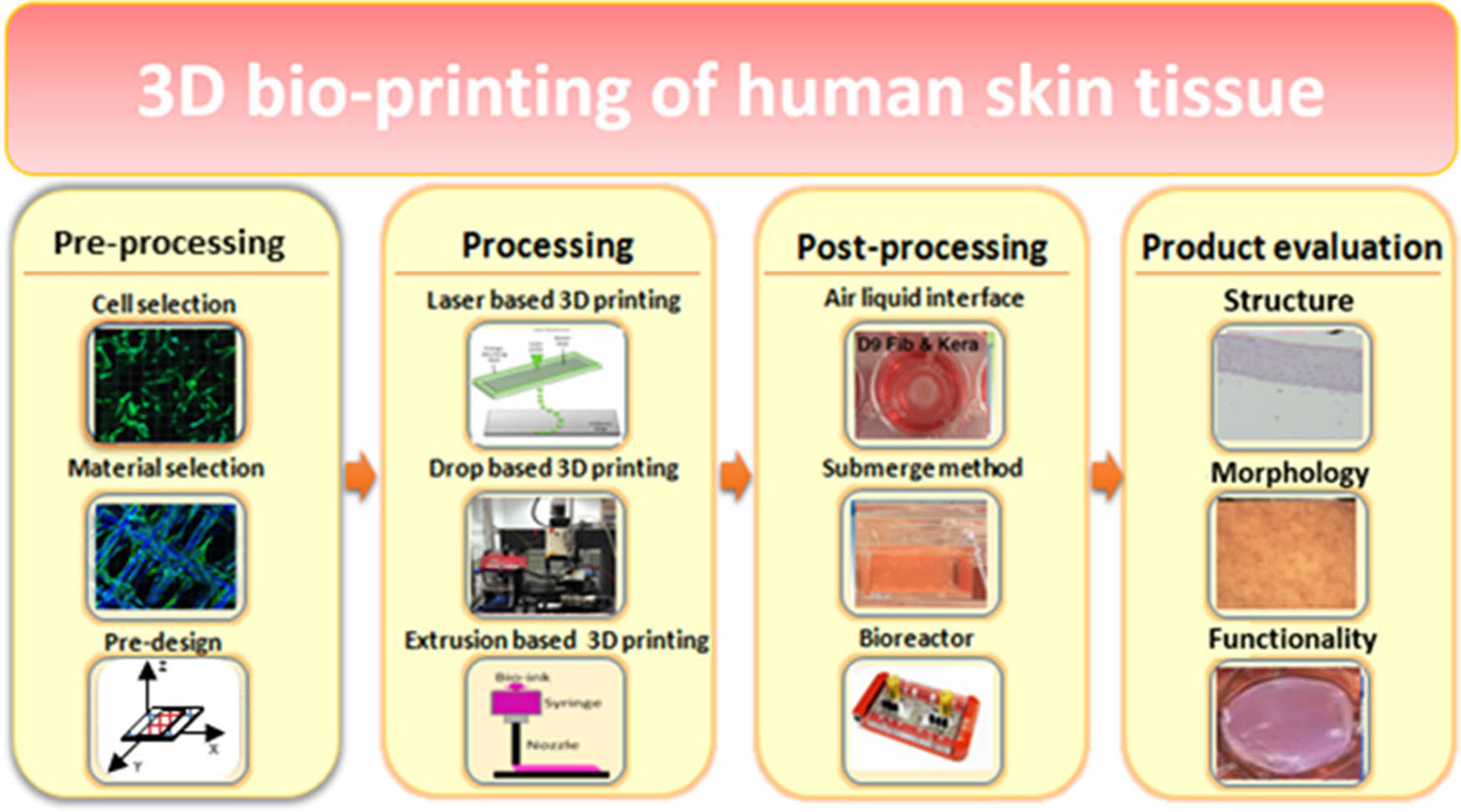 Figure 8 
                  Process of 3D bioprinting [60].
               