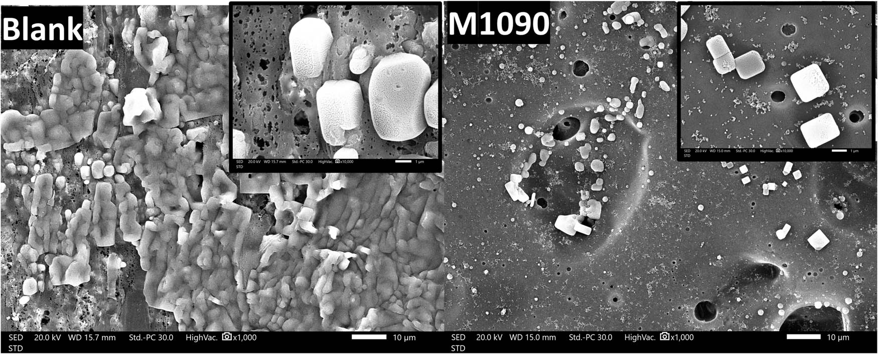 Figure 17 
               SEM imaging of the front surface of both the blank and photothermal magnetic Janus membrane (M1090) after 9 days of operation under real solar radiation and a salinity of 35,000 ppm, displayed at magnifications of 1,000× and 10,000×.
            