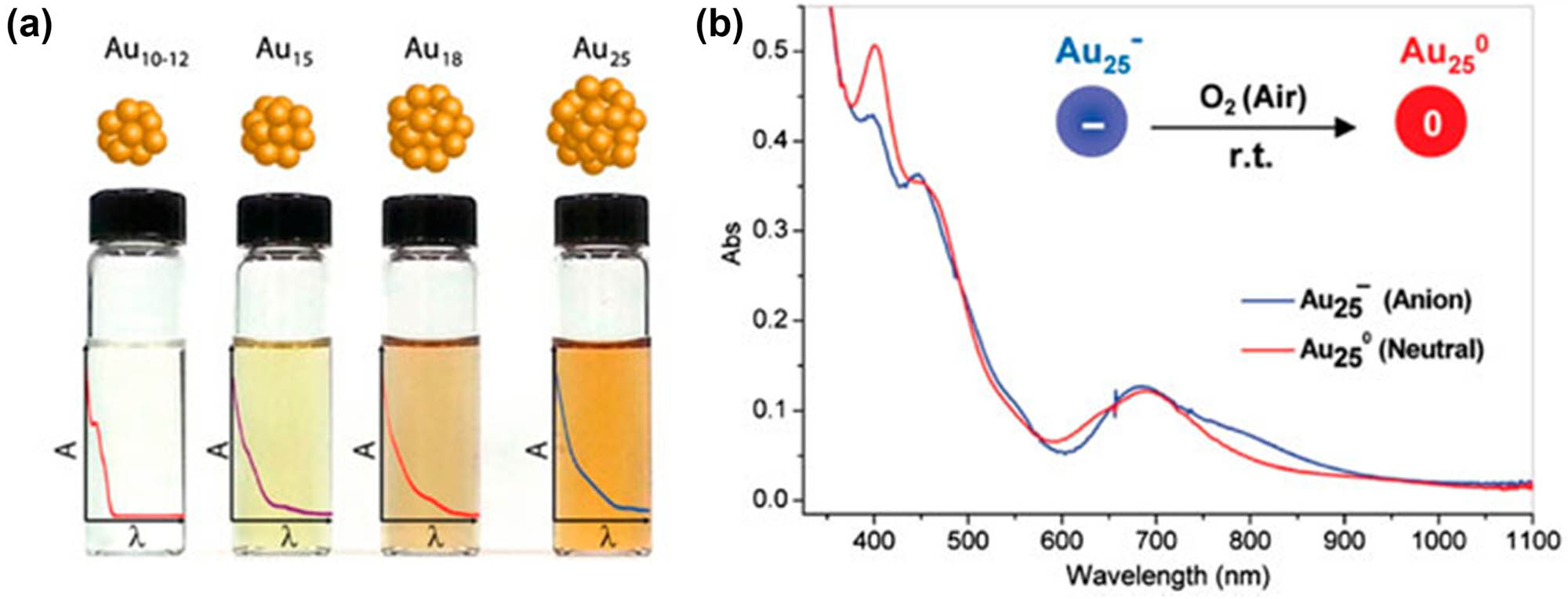 Figure 3 
                  (a) The structural diagram and variations in the optical absorption spectra of Au NCs of various diameters, like Au12, Au15, Au18, and Au25. The space among distinct energy levels broadens as the diameter of the Au NCs shrinks, and the clusters’ optical absorption turns blue. The number of Au atoms in atomically exact Au nanoclusters is intimately related to its photophysical characteristics; hence, the “magic number” of Au atoms was discovered to be present in Au NCs. The Au nanoclusters with magic numbers show high photophysical stability and resemblance to one another. The molecular Au nanocluster Au156 has a unique electronic structure among the molecular and metallic states, with distinct energy levels like molecular orbitals and metallic bands. Also given are the optical absorption spectra of identical-diameter Au NCs shielded by various ligands and the Tauc plot. Copyright 2014 American Chemical Society [62]. (b) The optical absorption spectra of charge-neutral and anionic Au25 clusters in solution are presented, highlighting the effect of cluster charge on their optical properties Copyright 2008 [63].
               