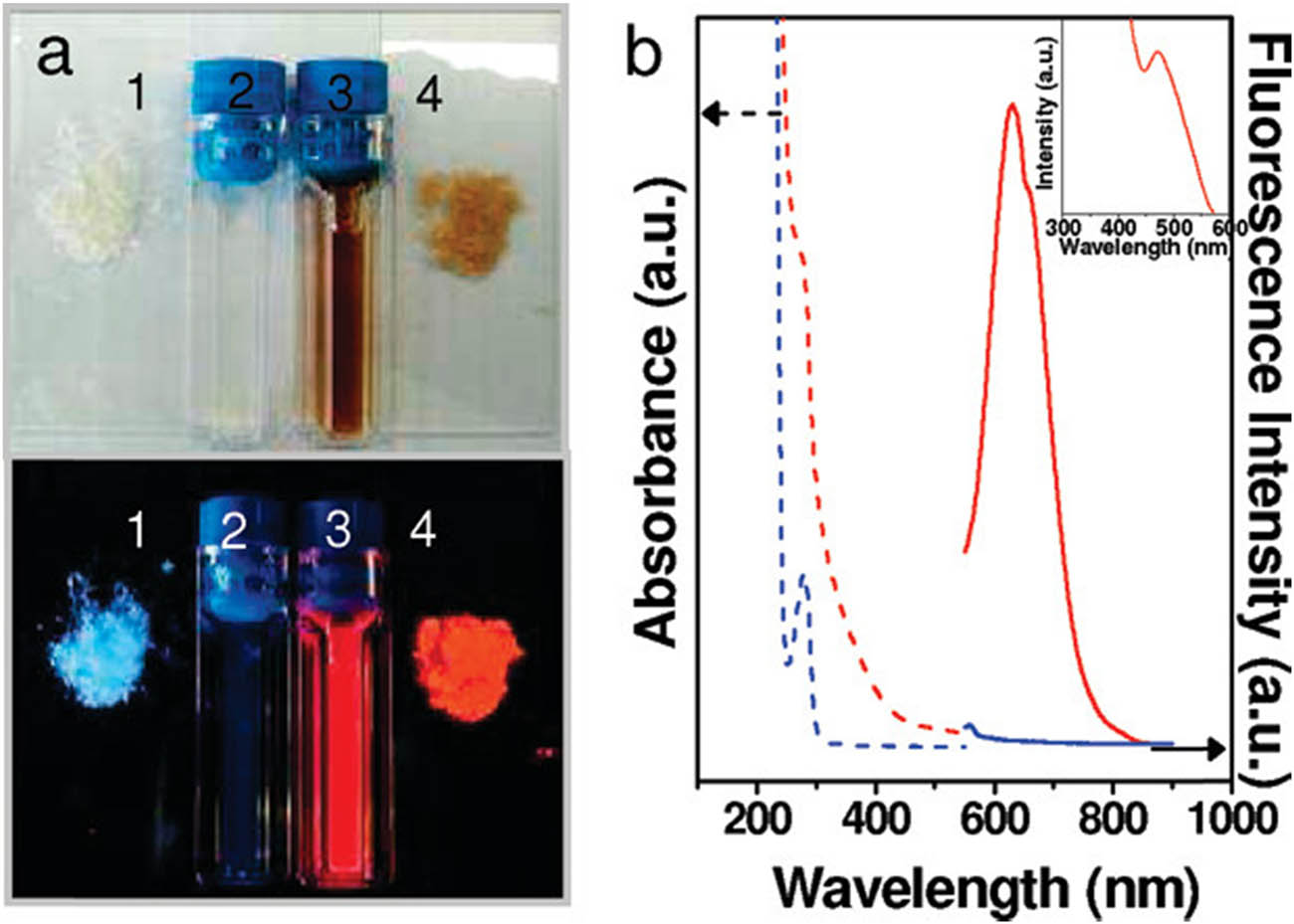 Figure 4 
                  (a) Photographs of BSA and BSA-Au NCs (gold nanoclusters): 1. BSA powder: A sample of dry BSA powder, a common form of storage for proteins like BSA. 2. BSA aqueous solution: A clear or slightly cloudy liquid containing BSA dissolved in water. BSA is soluble in water and other aqueous solutions. 3. BSA-Au NCs aqueous solution under visible light: An aqueous solution containing BSA-Au NCs (gold nanoclusters) under regular visible light. The colour of the solution may vary depending on the size and concentration of the gold nanoclusters. 4. BSA-Au NCs powder under visible light: A dry powder or solid form of BSA-Au NCs under visible light. (b) Optical absorption and photoemission spectra: The graph represents the optical absorption and photoemission (fluorescence) spectra of two different samples: Blue curve represents the aqueous solution of BSA. The dashed line indicates the absorption spectrum, which shows the wavelengths of light absorbed by BSA. The solid line represents the photoemission spectrum, which shows the wavelengths of light emitted by BSA after photoexcitation. Red curve represents the aqueous solution of BSA-Au NCs. The dashed line indicates the absorption spectrum of the BSA-Au NCs, showing the wavelengths of light absorbed by the gold nanoclusters. The solid line represents the photoemission spectrum of BSA-Au NCs, showing the wavelengths of light emitted by the gold nanoclusters after photoexcitation at a wavelength of 470 nm (λ
                     ex = 470 nm). The inset in the graph likely shows the photoexcitation spectrum of BSA-Au NCs. This spectrum reveals the light absorption efficiency of the gold nanoclusters at different excitation wavelengths. Overall, the graph provides valuable information about the optical properties of BSA and BSA-Au NCs, demonstrating how adding gold nanoclusters can alter BSA’s absorption and photoemission properties. Copyright 2009 American Chemical Society [106].
               