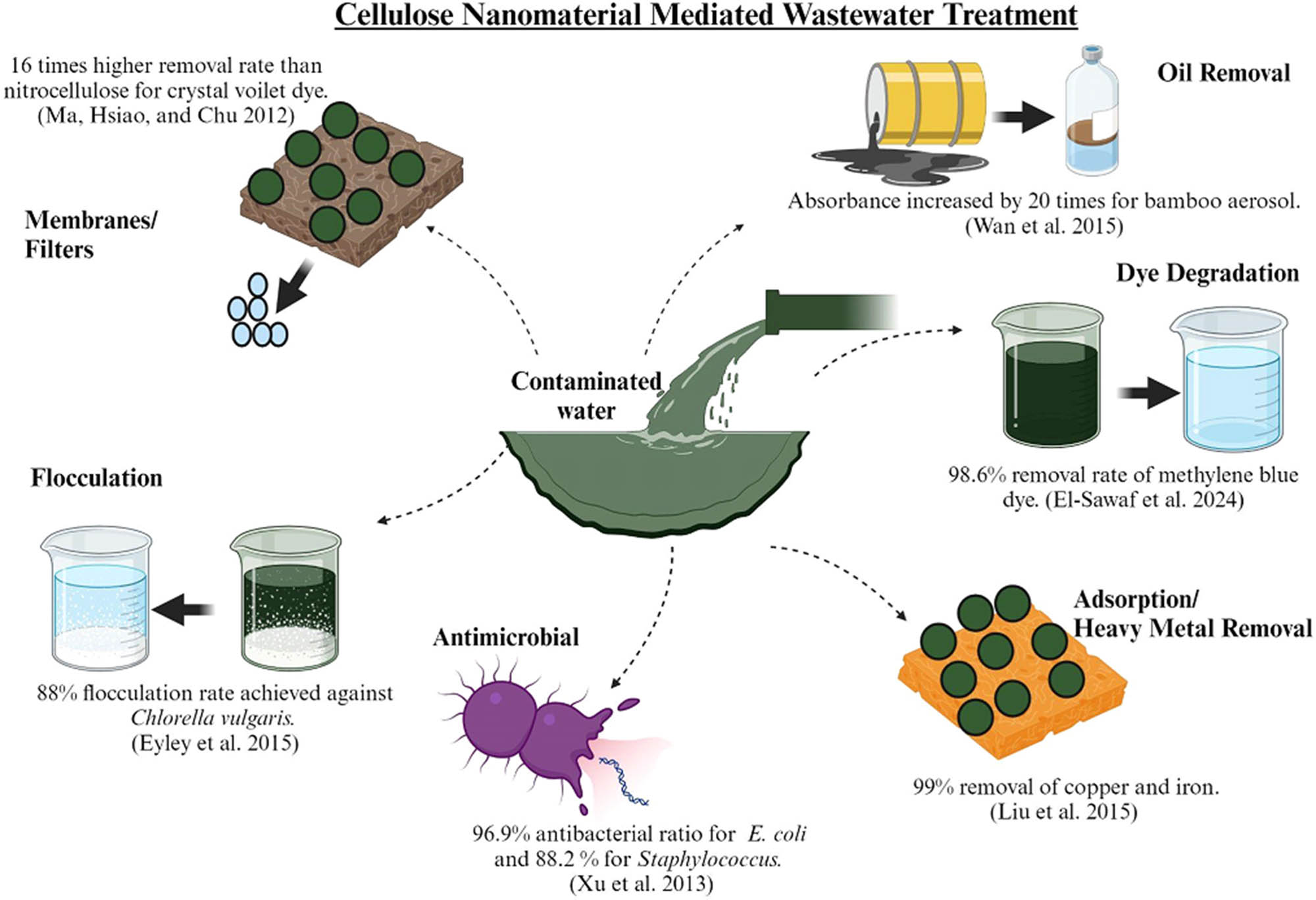 Figure 2 
               Cellulose nanomaterial-based wastewater remediation strategies.
            