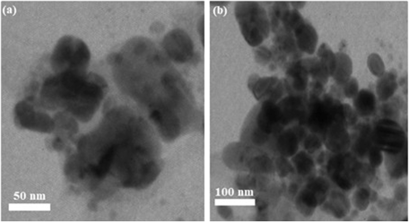 Figure 7: 
TEM images of green fabricated γ-Al2O3 nanoparticles at (a) 50 nm and (b) 100 nm.
