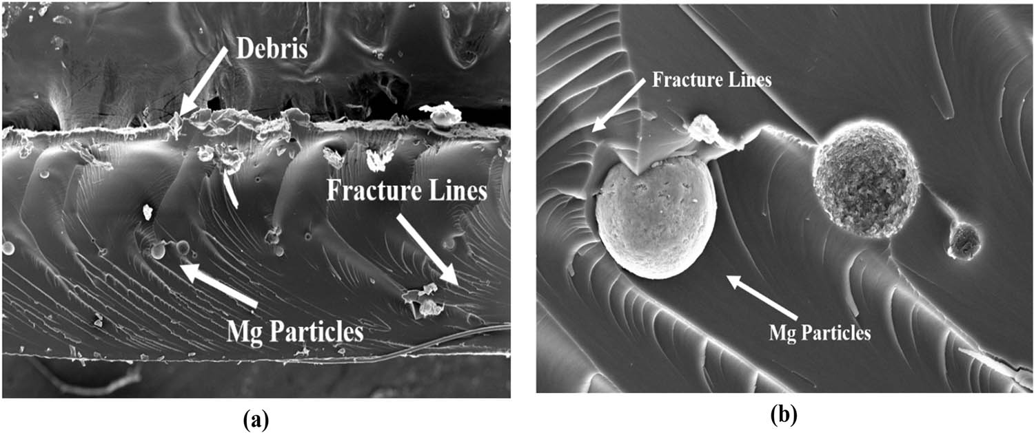 Figure 3 
                  (a) Cross-section of PMMA resin/0.5% Mg sample and (b) Mg-ions in PMMA resin/0.5% Mg sample.
               