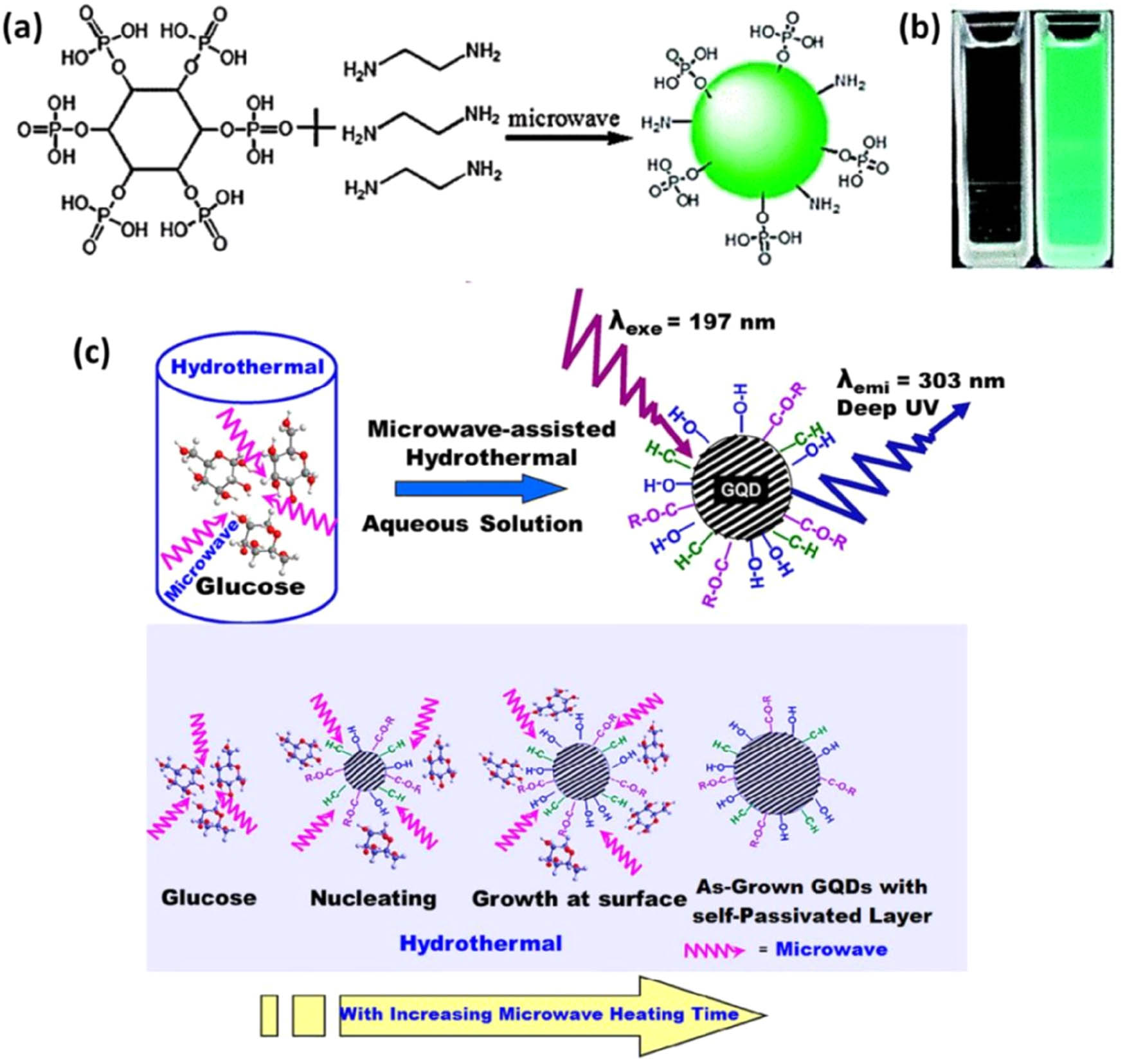 Figure 2 
                  (a) Schematic representation of the production of phosphorus-containing CDs. (b) Emission in the presence of natural light (on the left) and 365 nm UV radiation (on the right) [69]. (c) Synthesis of glucose-derived GQDs using microwave-assisted hydrothermal synthesis method.
               