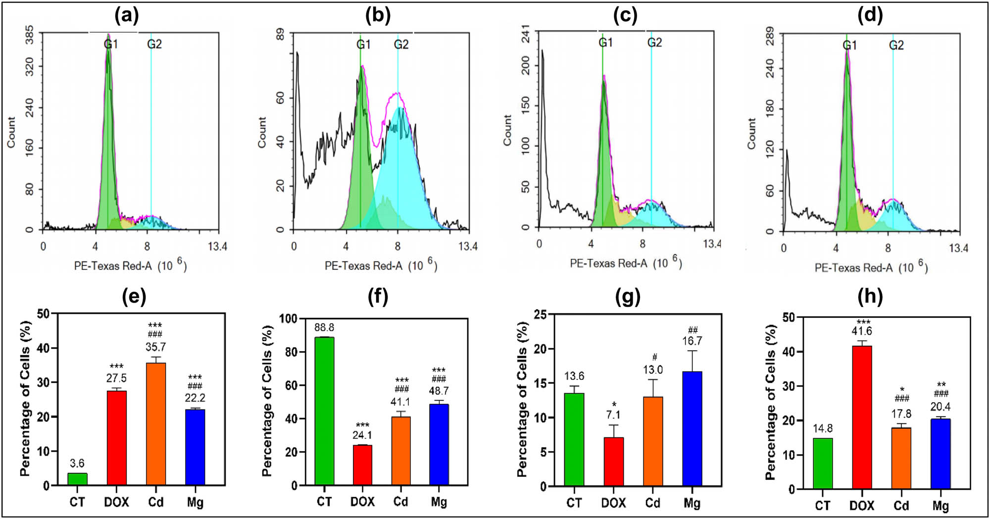 Figure 9
Percentage of cells (mean ± SD) in the different phases of the cell cycle in non-treated control cells CT (a), doxorubicin Dox (b), AgClCd0.5Fe2O4/curcumin (c), AgClMg0.5Fe2O4/curcumin (d), treated A-431: Human epidermoid skin carcinoma for 48 h. The percentage of the cell of different cell cycle sub-G1 (e), G0/G1 phase (f), S phase (g), and G2/M phase (h) (n = 3 biological replicates/group). Data were analyzed by one-way ANOVA with Tukey’s HSD post-hoc test; *P < 0.05, **P < 0.01, and ***P < 0.001 indicate the significant difference compared with CT, and #
P < 0.05, ##iP < 0.01, and ###
P < 0.001 indicate the significant difference compared with Dox.