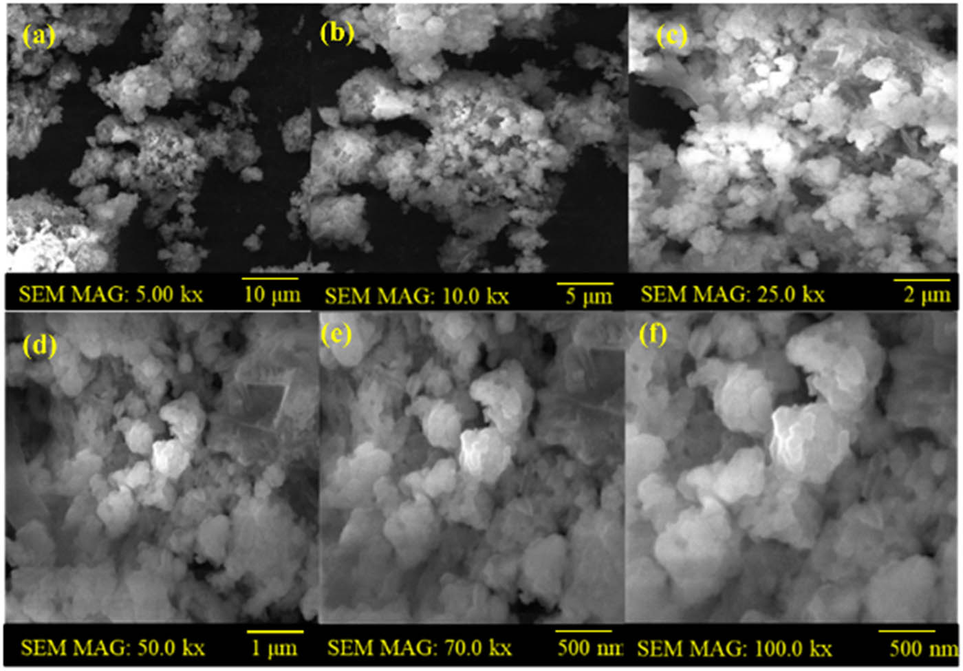 Figure 2 
                  SEM analysis of the synthesized WO3 nanoparticles: (a) WO3 nanoparticles prepared by the hydrothermal method, and (b)–(f) WO3-coated with antibiotics by the chemical reduction method.