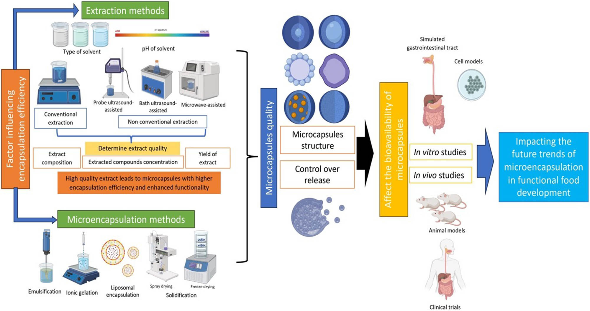 Figure 1 
               Factors affecting the structure and bioavailability of microcapsules.