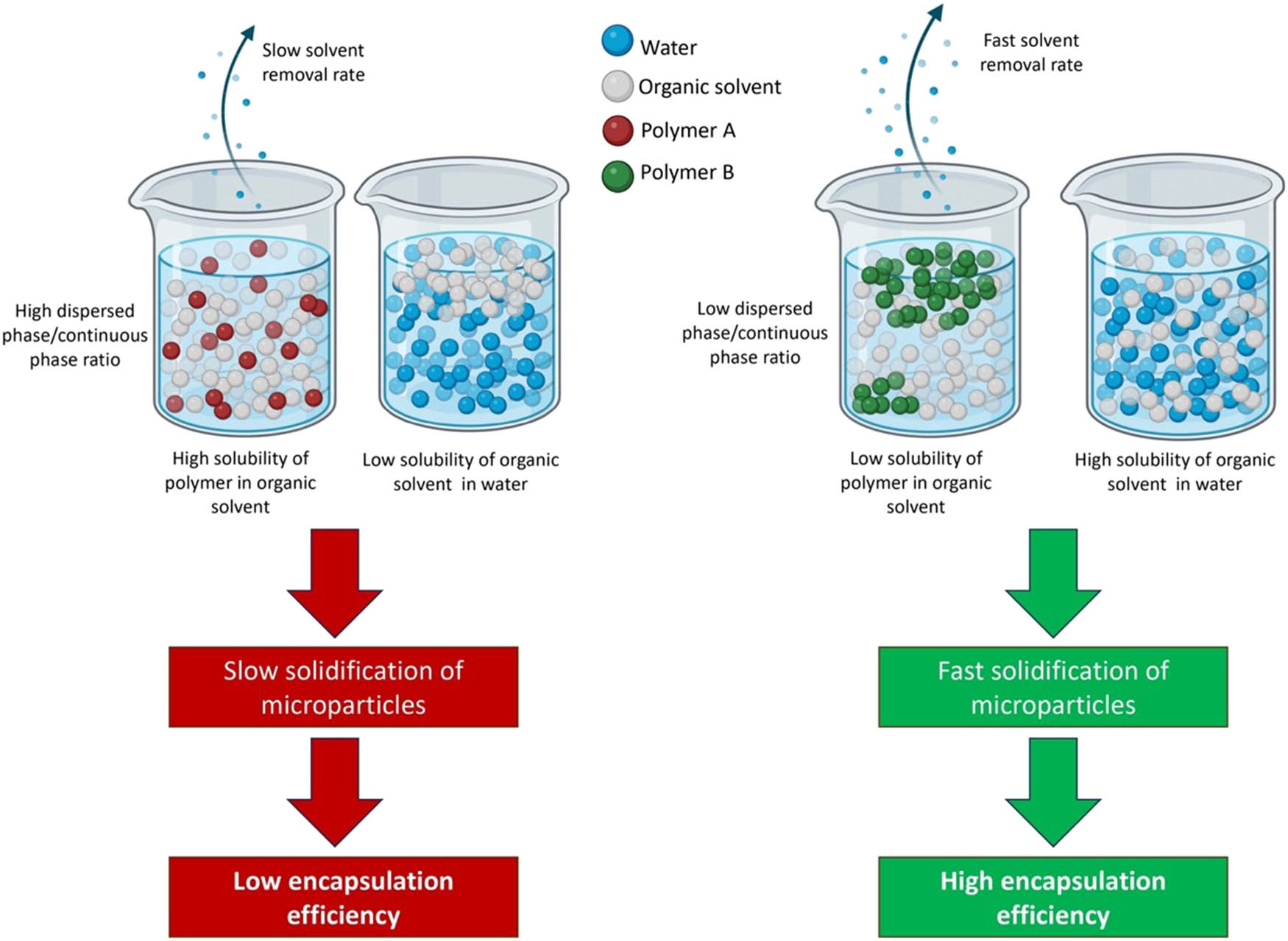 Figure 2 
                     Factors influencing encapsulation efficiency (redrawn from Yeo and Park [20]).
                  
