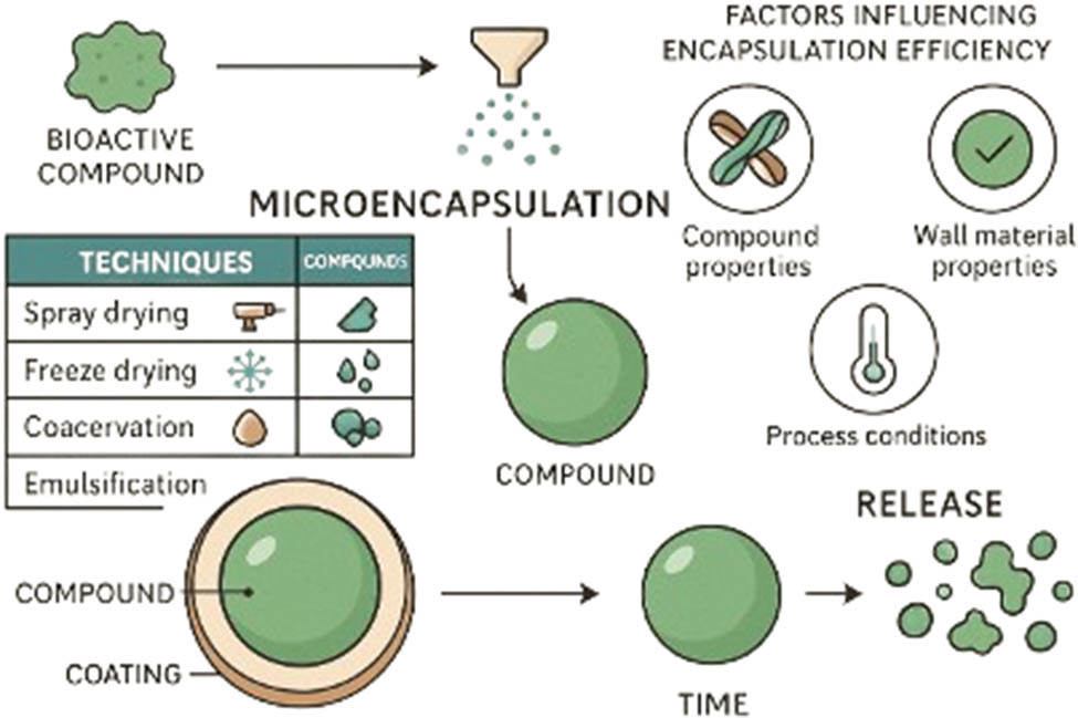 Figure 3 
                     General factors that affect microencapsulation efficiency.