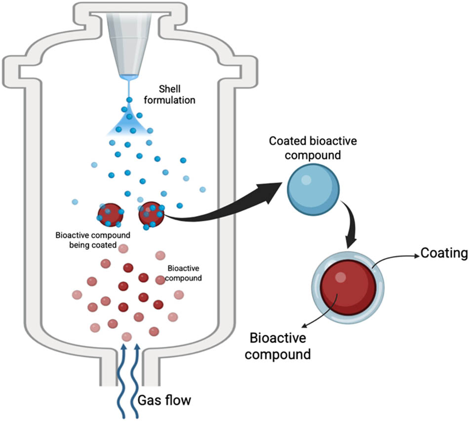 Figure 4 
                     Illustration of the fluidized-bed spray coating process.