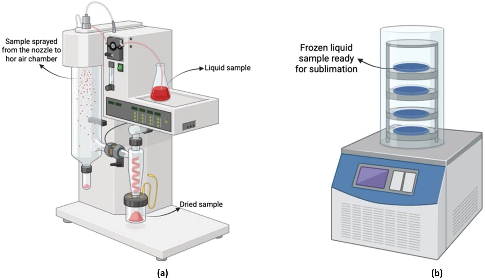 Figure 6 
                     Illustration of the emulsion technique encapsulation. (a) Spray drying illustration and (b) freeze drying illustration.