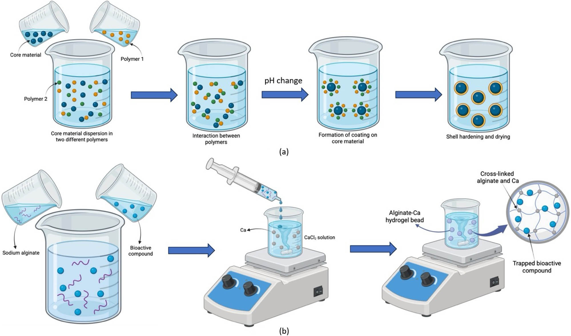 Figure 8 
                     Illustration of coacervation (a) and ionic gelation (b) encapsulation.