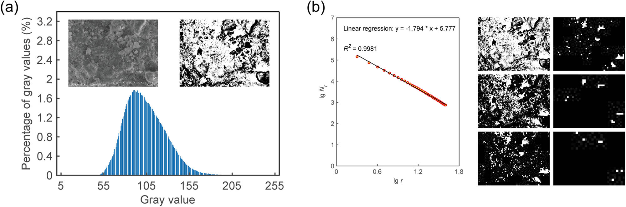Figure 11 
                  (a) Image binarization and grayscale values. (b) Calculation process of fractal dimension.