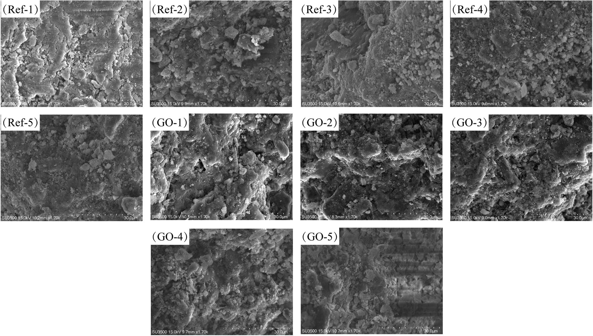 Figure 12 
                  SEM test image.