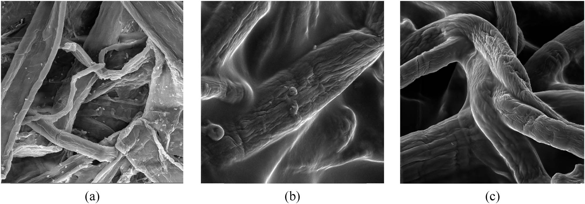 Teaser image from the article