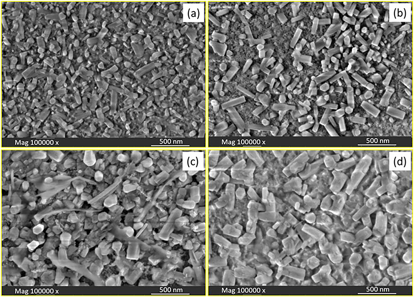Figure 2: 
FESEM images of (a) pure ZnS, (b) Ce-doped ZnS, (c) Pr-doped ZnS, and (d) Nd-doped ZnS thin films.
