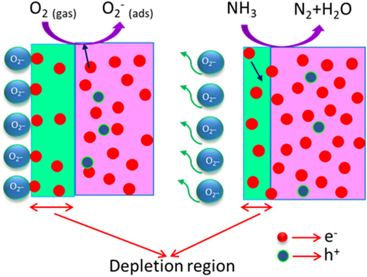 Figure 10: 
Schematic diagram of the ammonia gas sensing mechanism in the ZnS sample.
