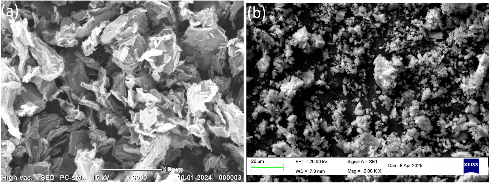 Teaser image from the article