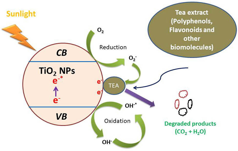 Teaser image from the article