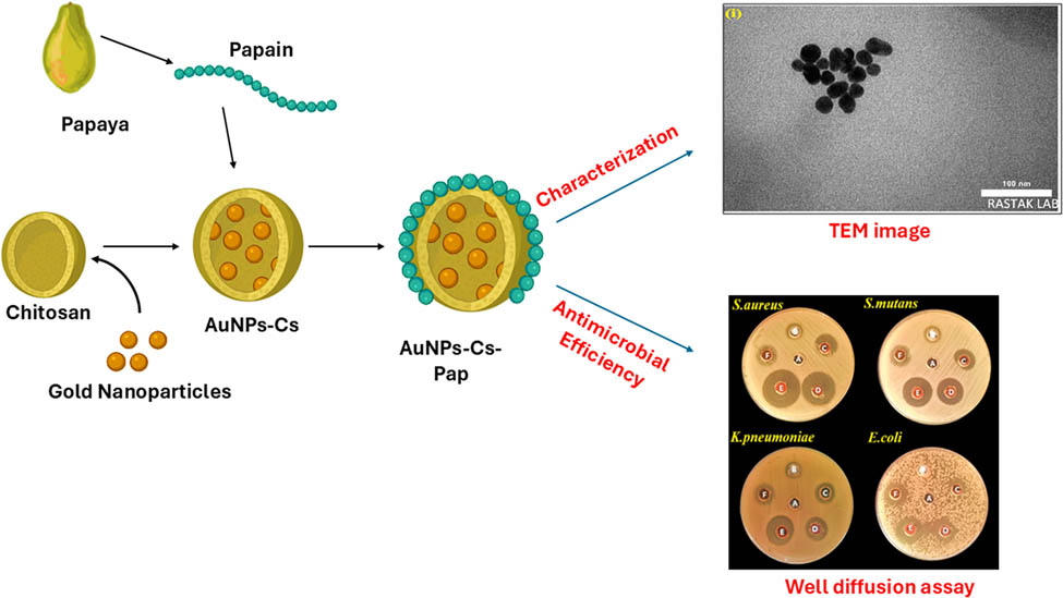 Teaser image from the article