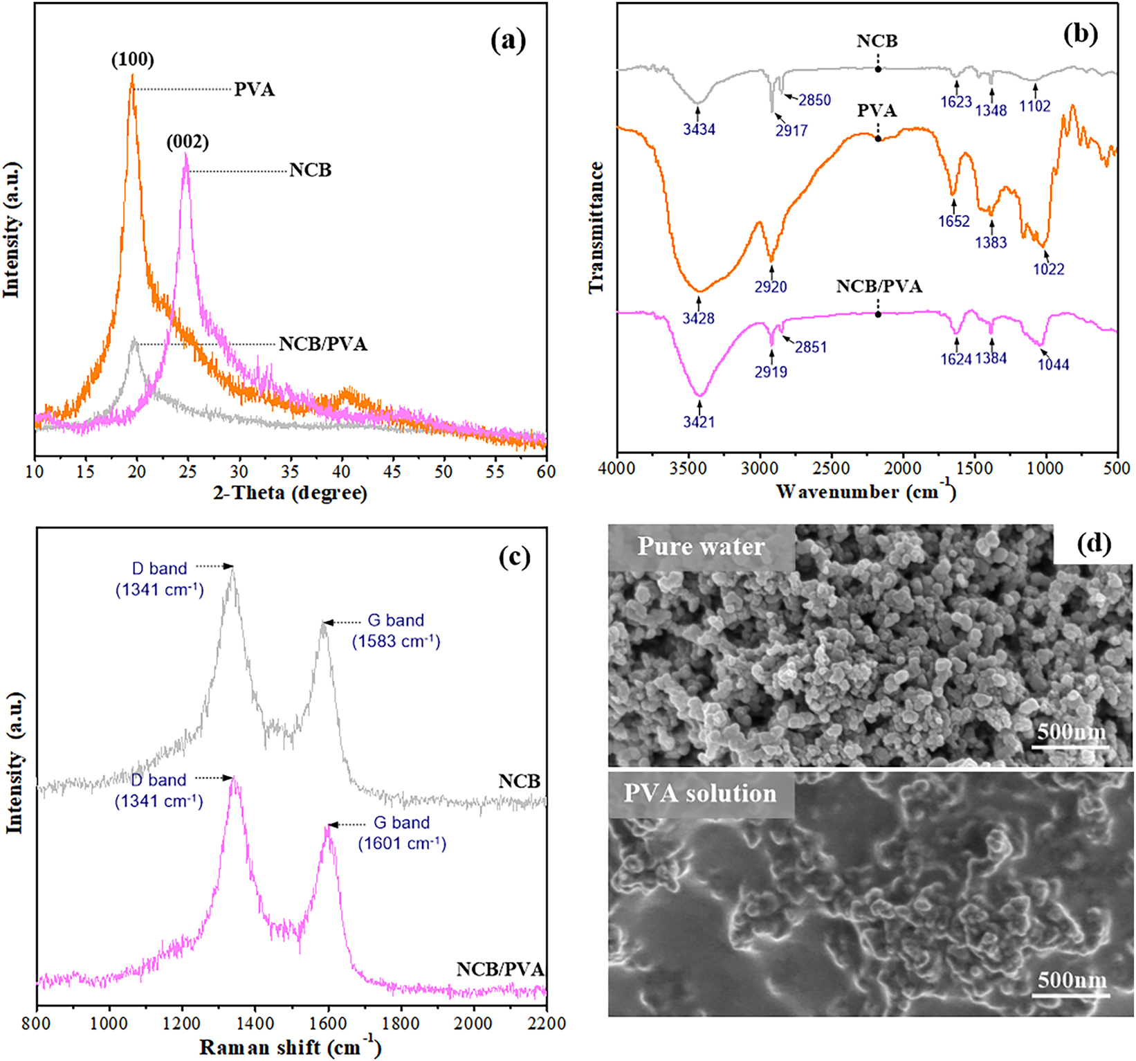 Figure 4: 
Characterisation of NCB, PVA and NCB/PVA nanocomplexes. (a) XRD spectra, (b) FTIR spectra, (c) Raman spectra and (d) SEM.
